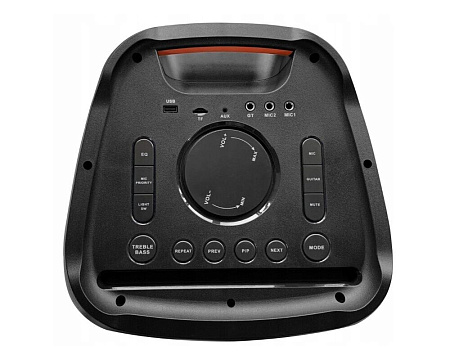 Blaupunkt Portable Audio Systems PB12DB, 2 wireless microphones included