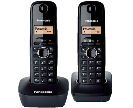Радиотелефон Panasonic KX-TG1612, Серый